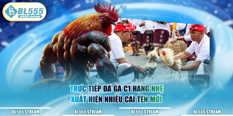Trực tiếp đá gà C1 hạng nhẹ xuất hiện nhiều cái tên mới